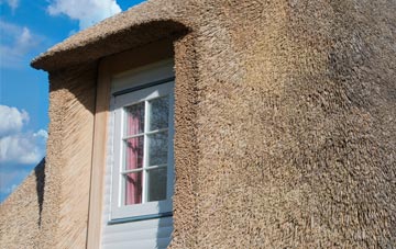 Thoulstone thatch roof disadvantages